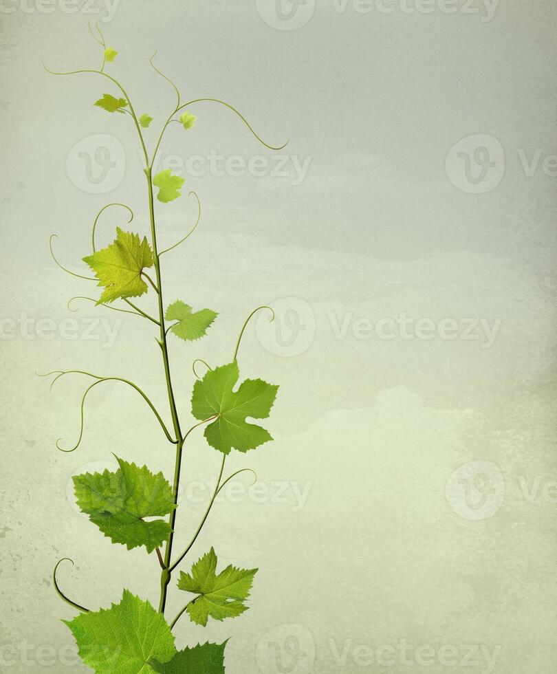 Grass and flowers illustration background. Summer plants close view photo