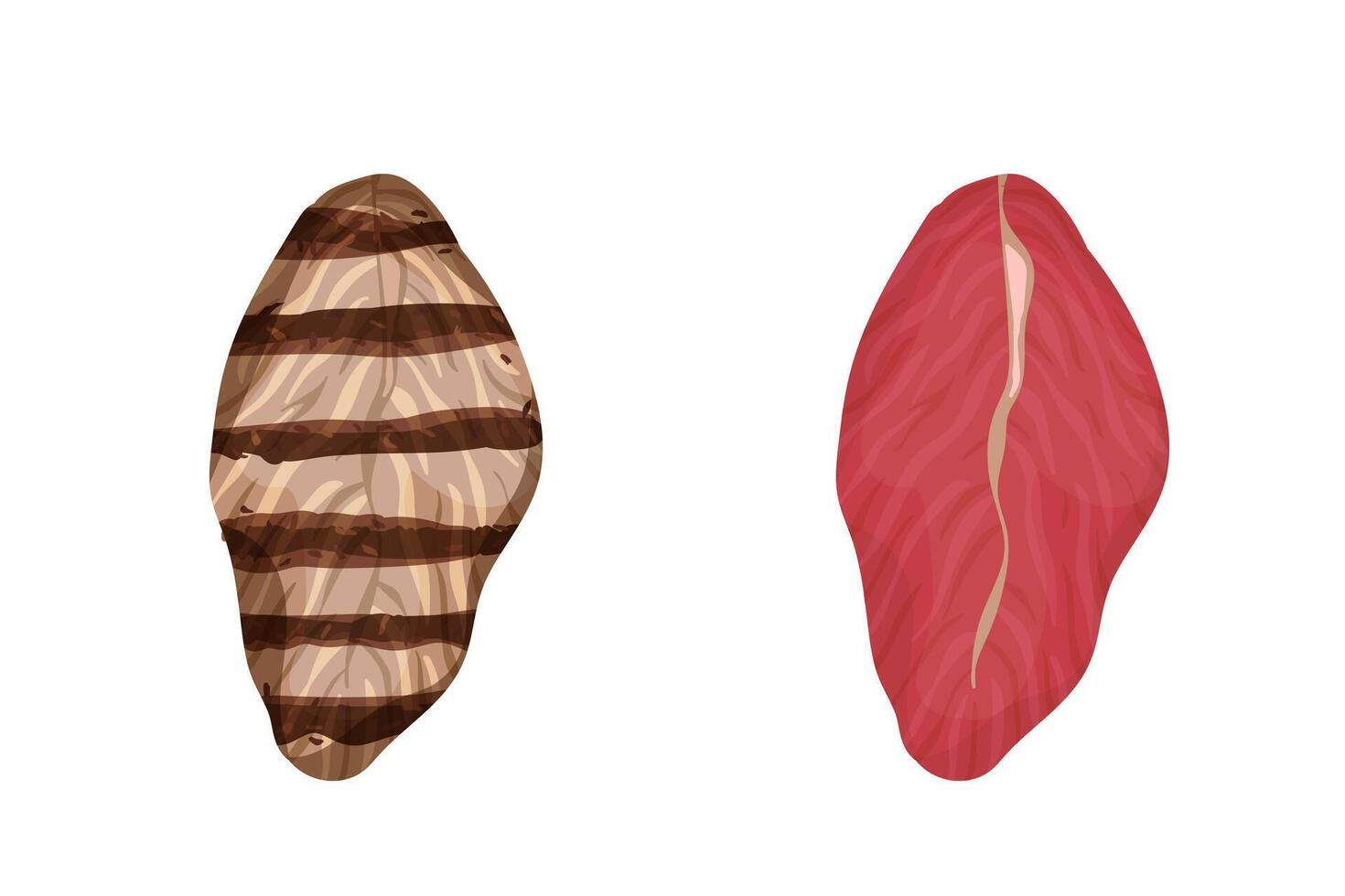 A piece of meat. Fresh and barbecue steak. vector