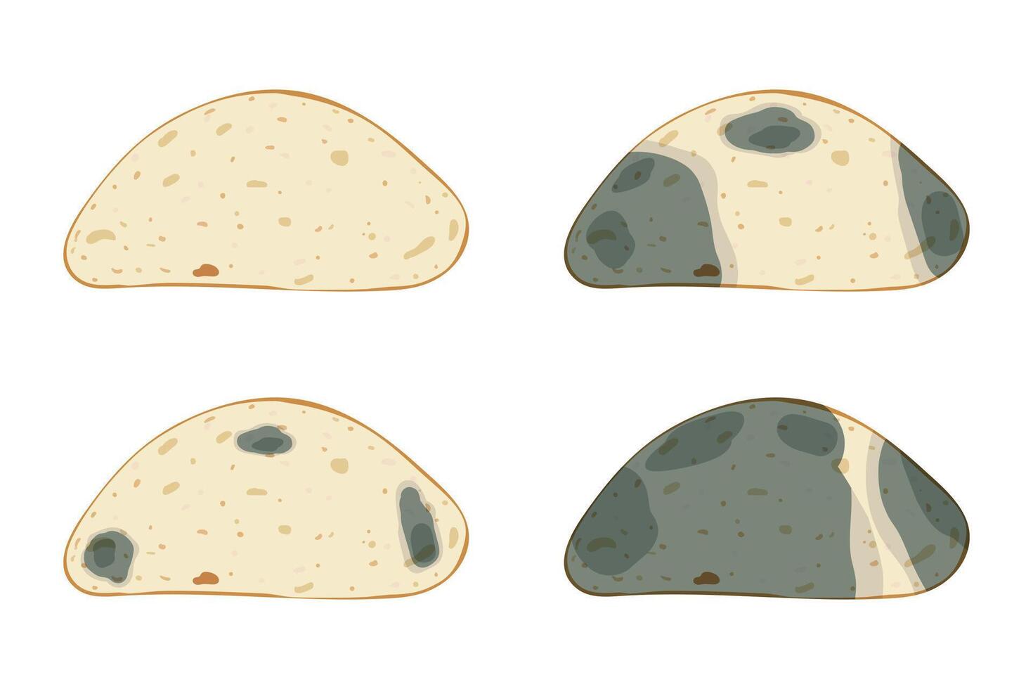 The mold on the bread, set isolated on white background. Food fungus drawing design. vector