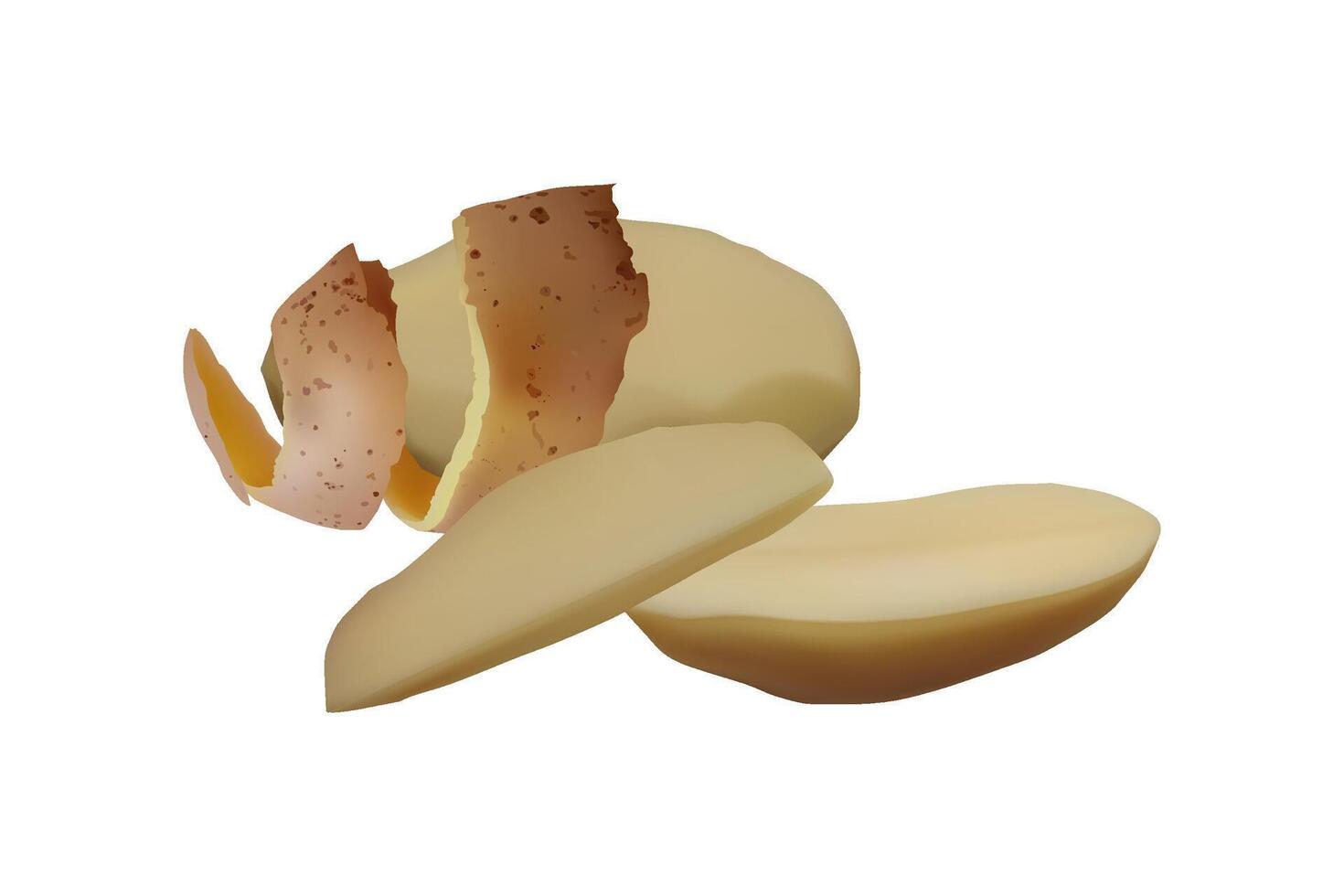 Peeled tuber Potatoes. Vegetarian food vector