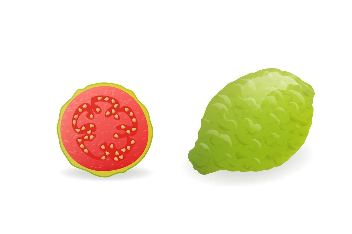 Whole and sliced green Guava fruit. Ripe guajava set on white background. Vegan food, healthy and natural dessert. vector