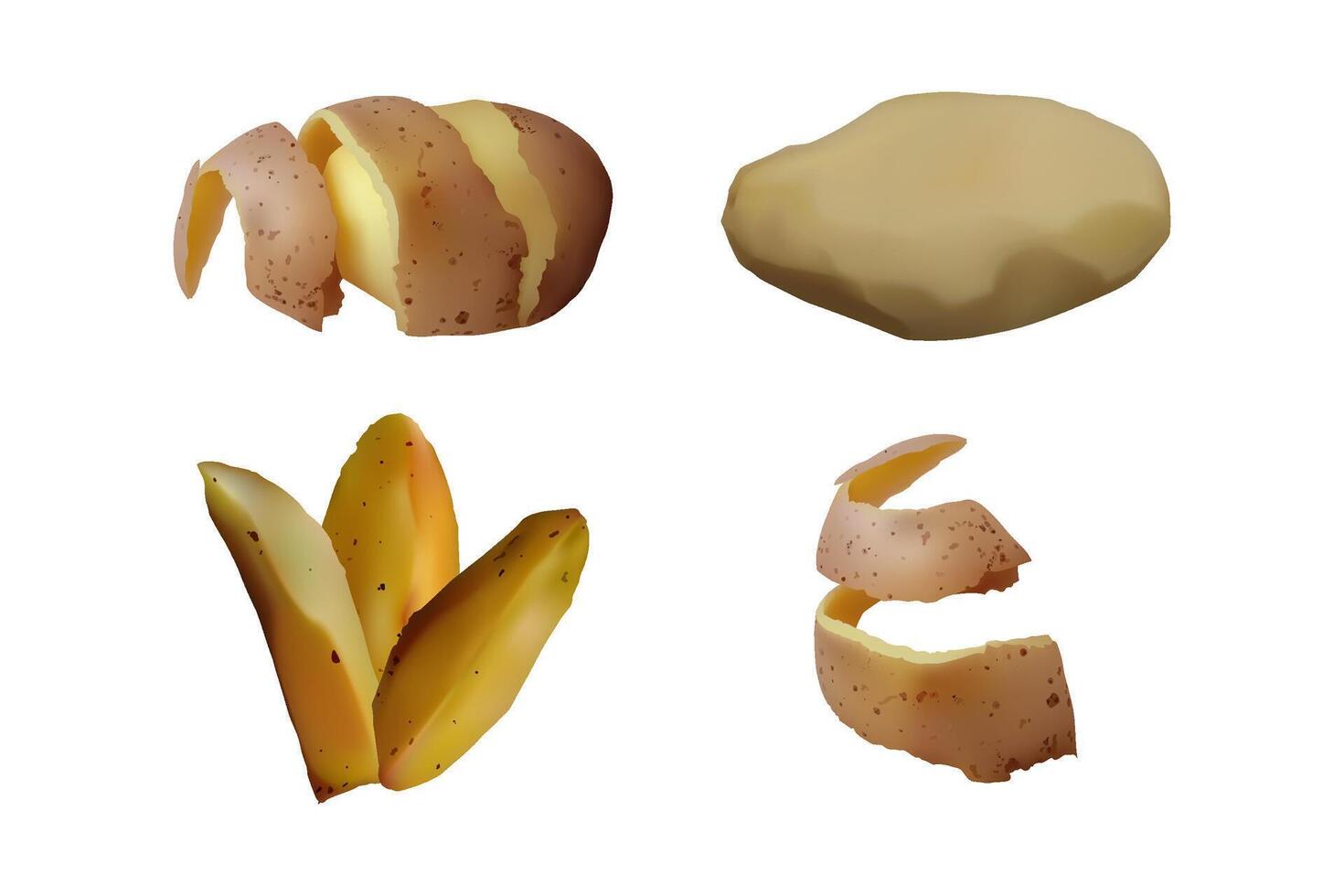 Peeled and baked Potato, snack set. Vegetarian food. vector