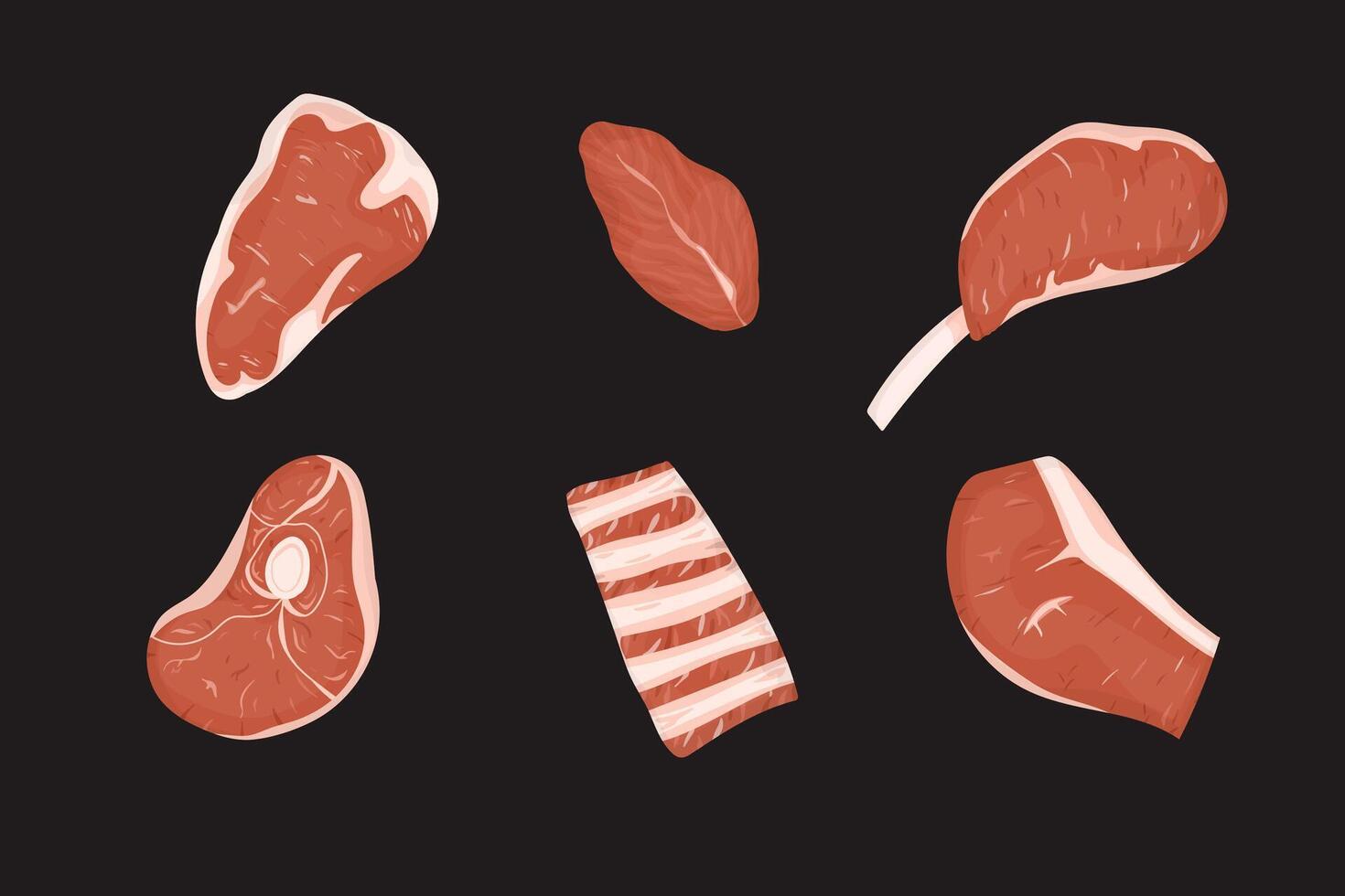 Set of raw meats cuts. Black background. vector
