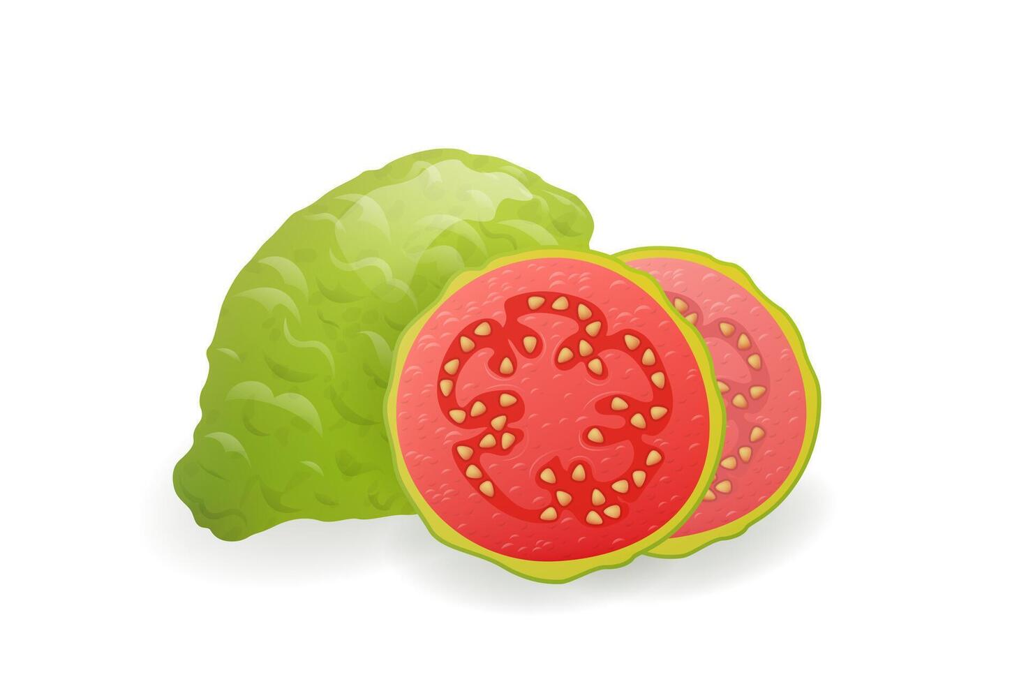 Whole and sliced green Guava fruit. Ripe guajava on white background. Vegan food, healthy and natural dessert. vector