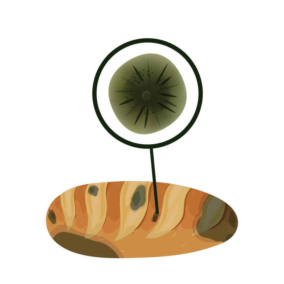 The cladosporium mold on the bakery, set isolated on white background. Food fungus drawing design. vector