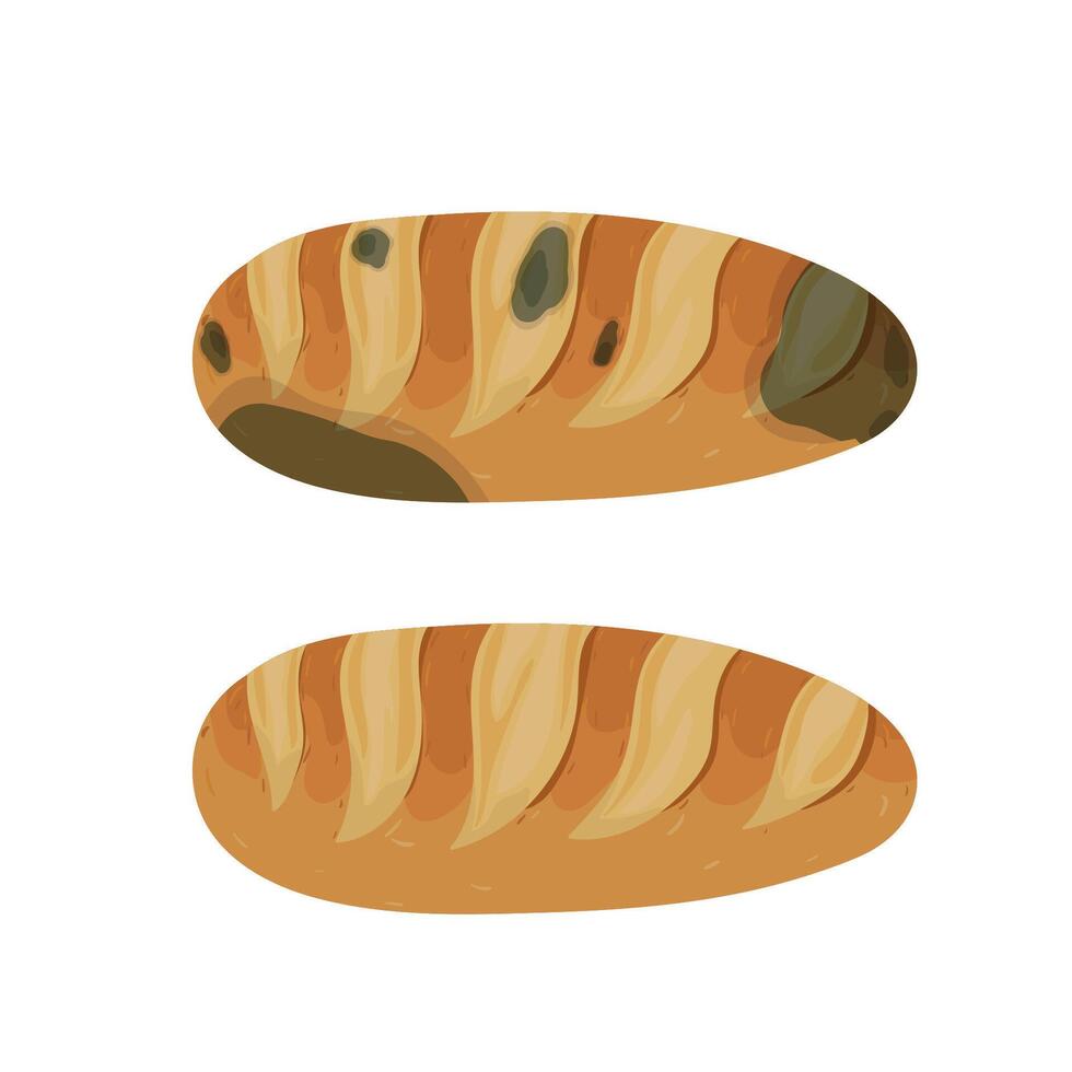 The mold on the loaf, set isolated on white background. Food fungus drawing design. vector