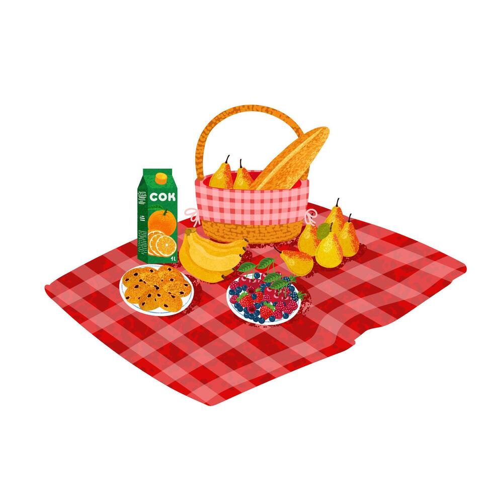 Colorful Illustration of a Picnic Isolated on White Background vector
