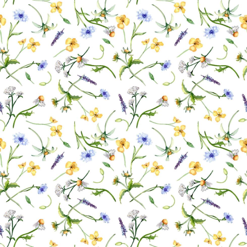 Floral seamless pattern with medicinal plants in watercolor isolated on white background. Yarrow. celandine botanical print in sketch. Bur marigold, cornflower hand drawn. Design for textile, package. vector
