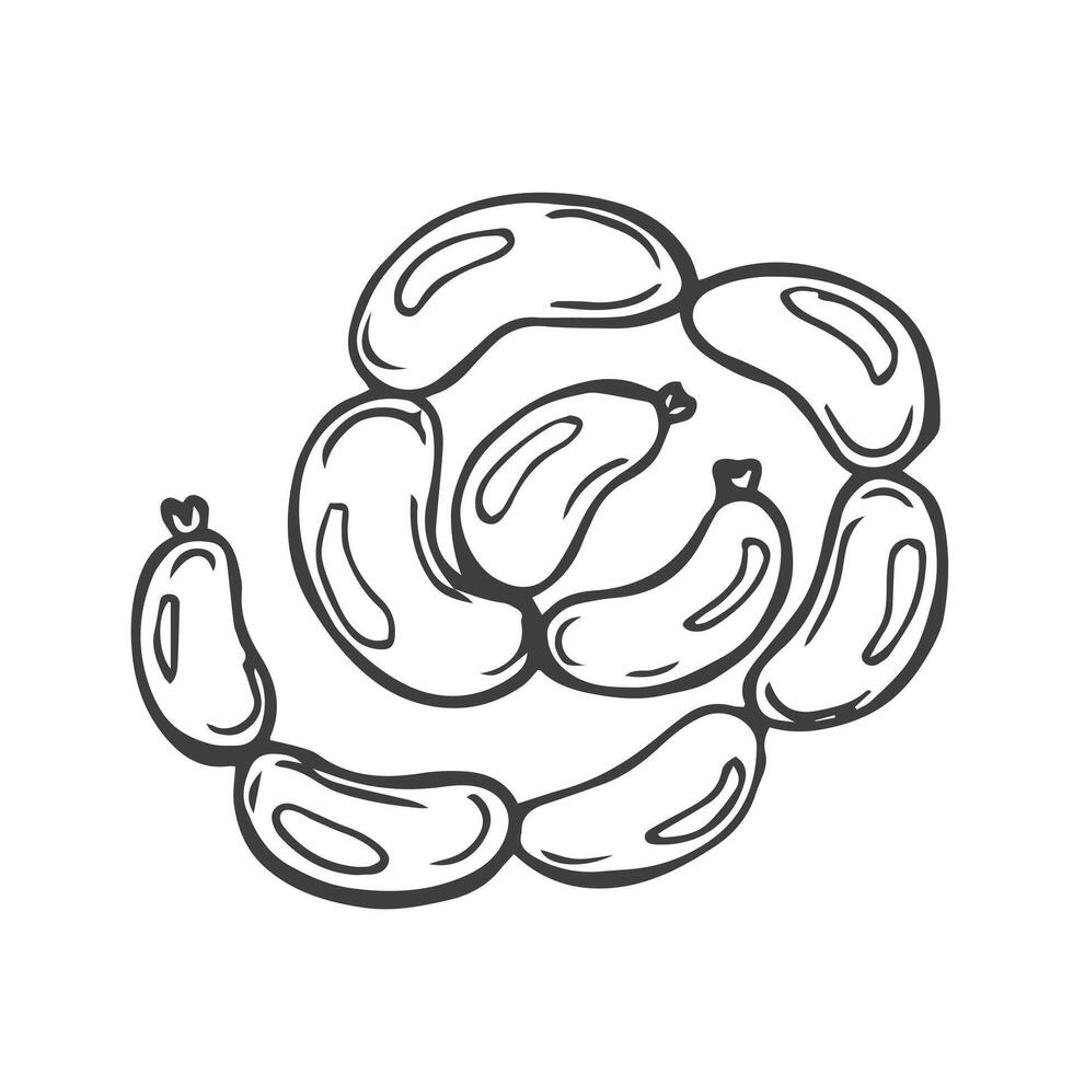 Sausages chain isolated bunch of meat food. pork or beef frankfurter sausage vector
