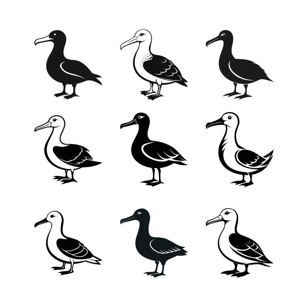 Elegant Albatross Silhouettes vector
