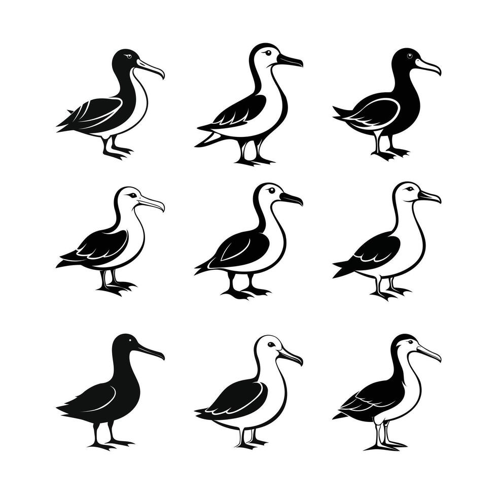 Albatross Silhouette Bundle vector
