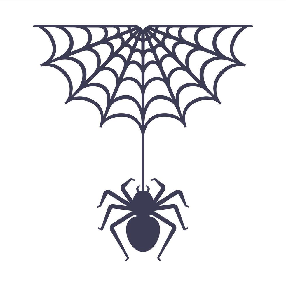 The spider sits on the web. vector