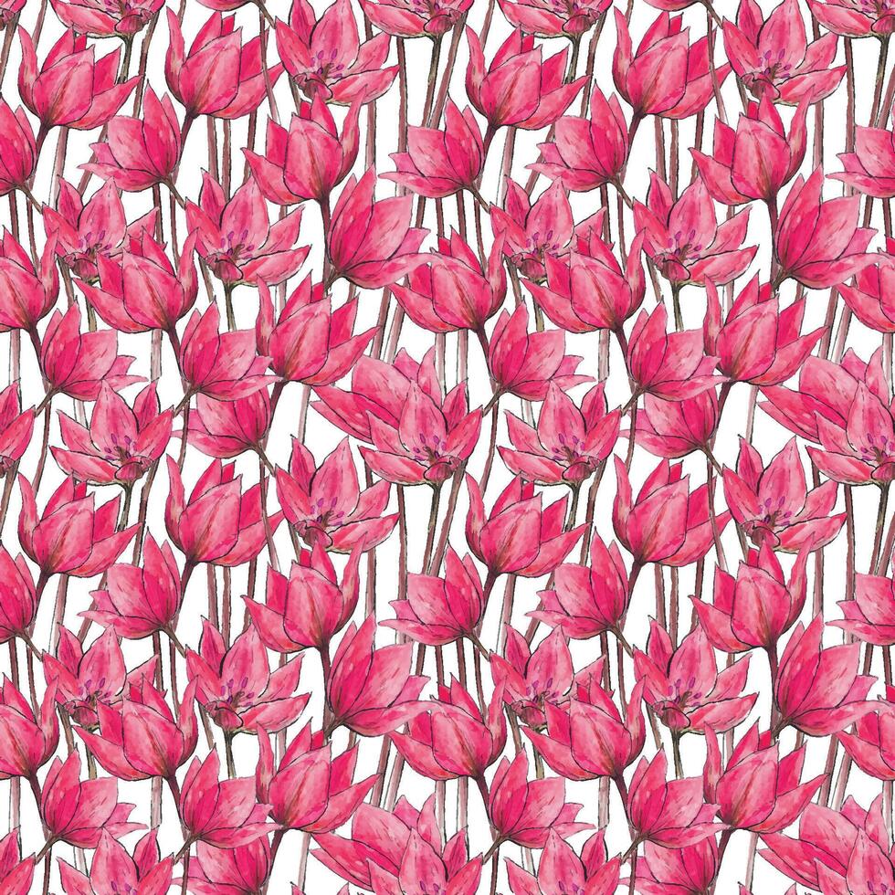 hand drawn watercolor seamless pattern of magenta flowers on a white background. blossom spring ornament of pink tulips for textile vector