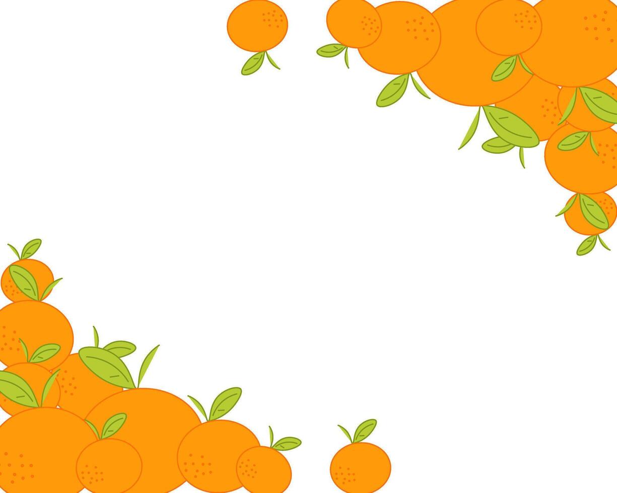 Mandarin or tangerine graphic background. Organic citrus plant drawing with whole mandarin. Template for food product label. Natural botanical line art illustration. vector