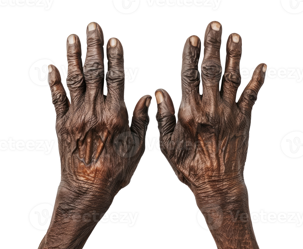 African American old man hands isolated on transparent background, top view png