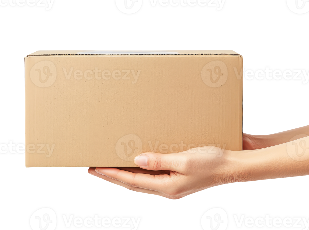 Woman hands with cardboard box isolated on transparent background png