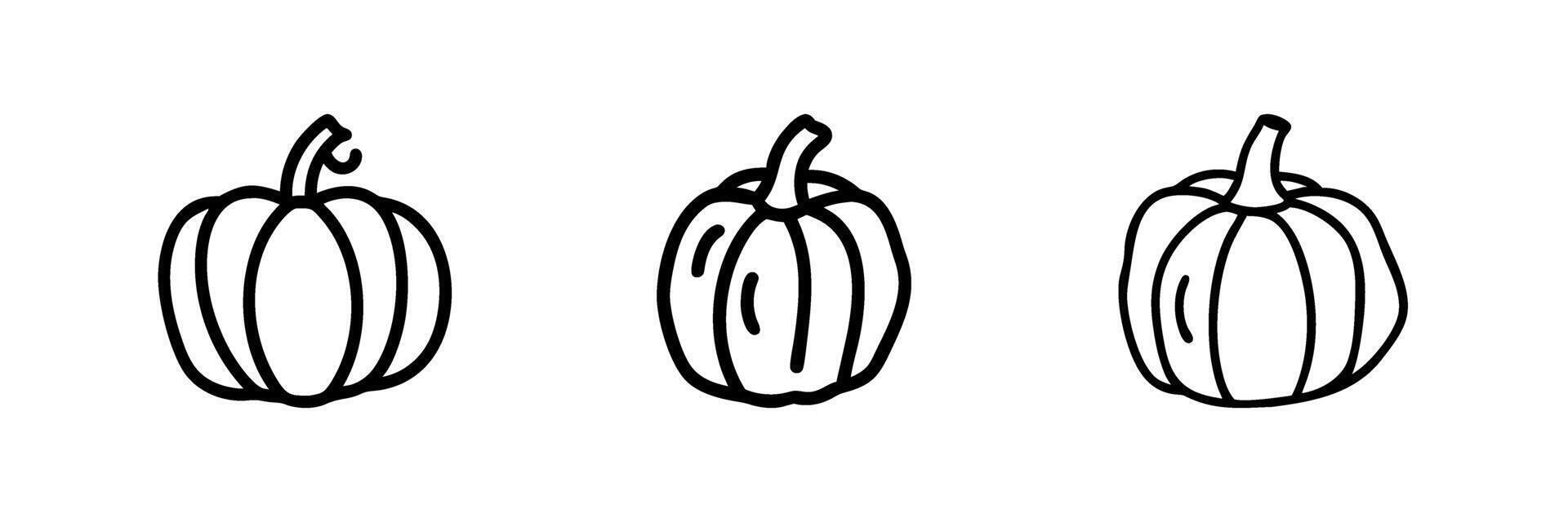 Outline drawings of pumpkins, symbolizing autumn or harvest. vector