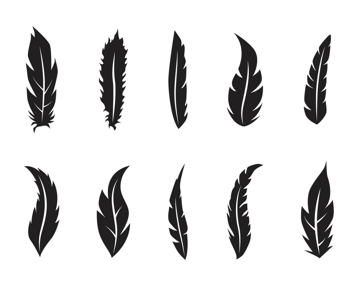 Collection of different bird feather illustration vector
