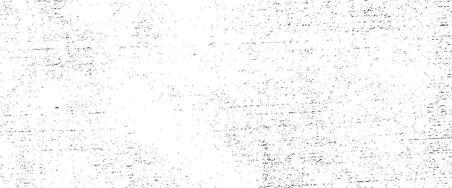 Old grunge wall concrete texture as a background vector