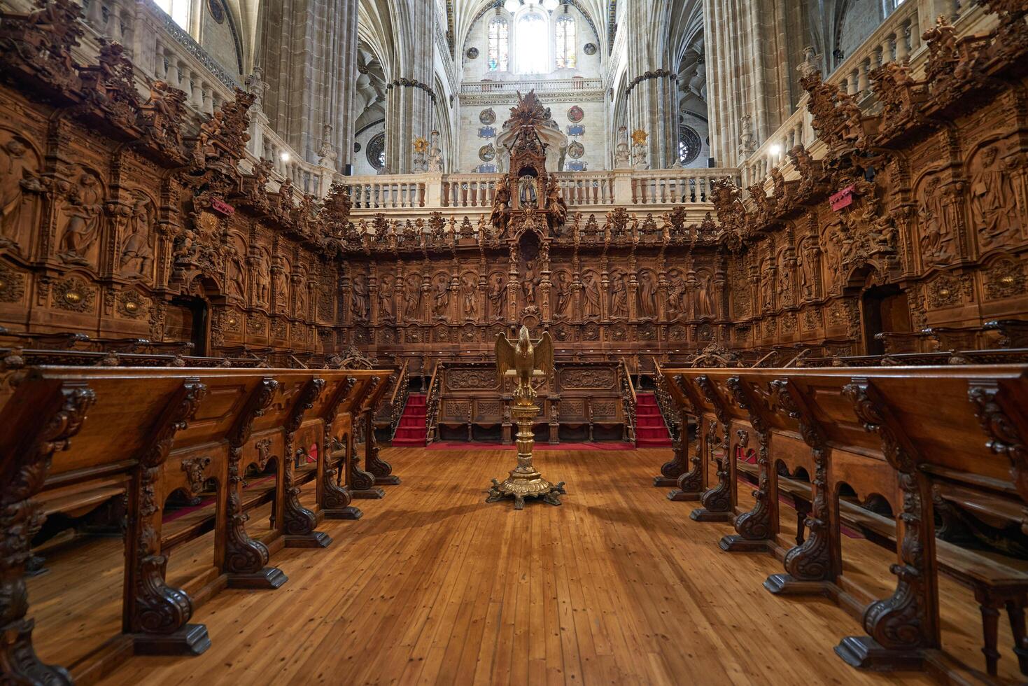 New Cathedral of Salamanca, Salamanca City, Spain, Europe. photo