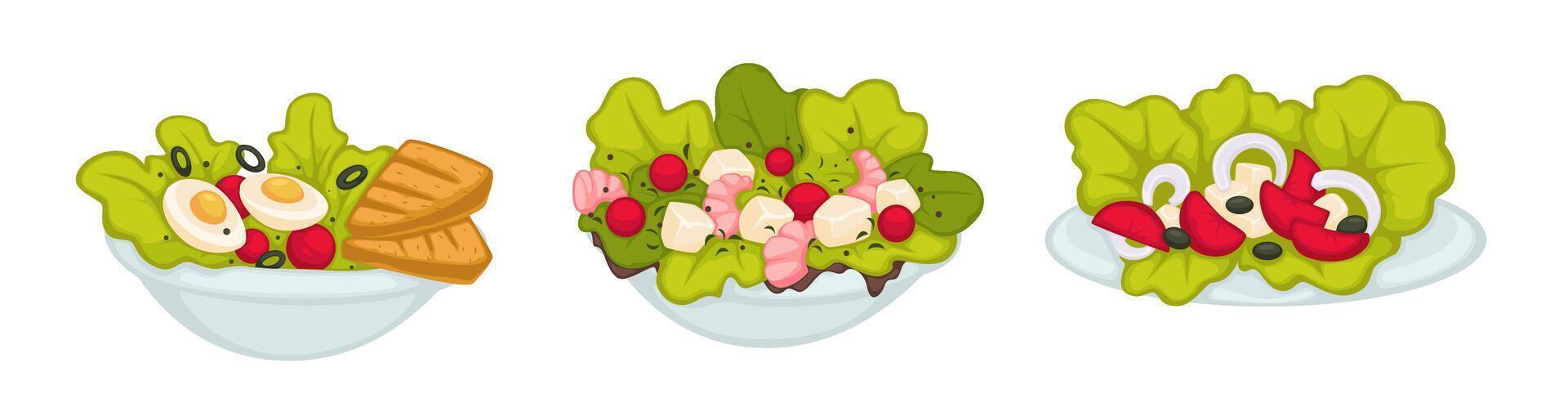 Assorted Fresh Salad Bowls vector
