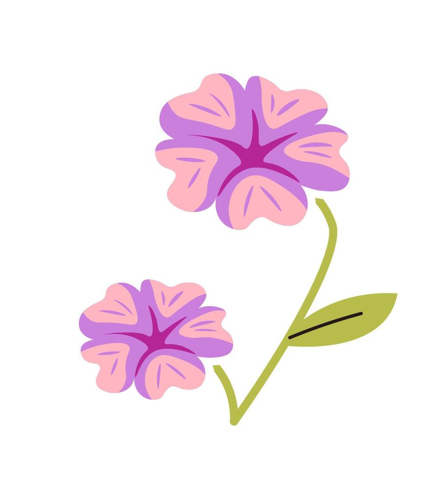 Purple Blooms Illustration on white vector