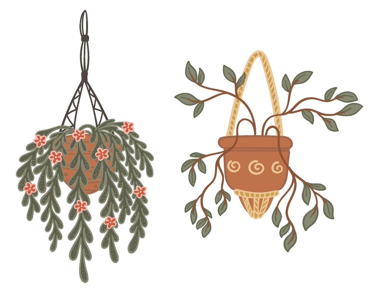 Indoor Hanging and Potted Plants Set vector