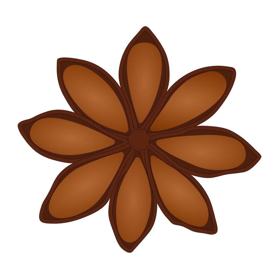 Realistic digital illustration of a star anise spice with brown seeds and a white background. vector