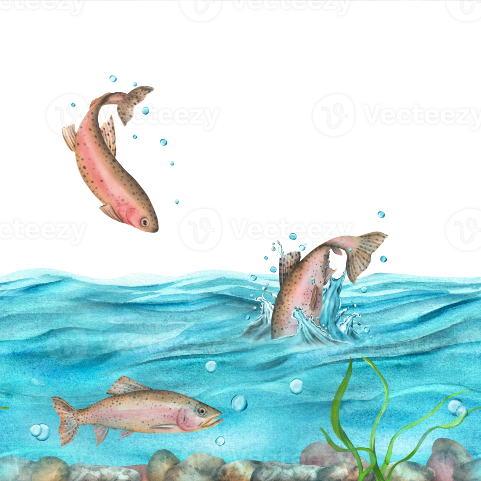 Seamless border with rainbow trout. River with algae and pebbles. Blue water. Hand-drawn watercolor illustration png