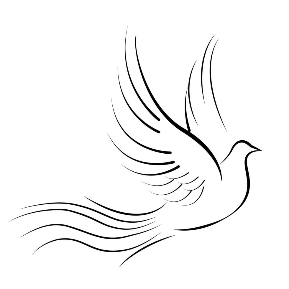 Dove are flying isolated on a white background. vector