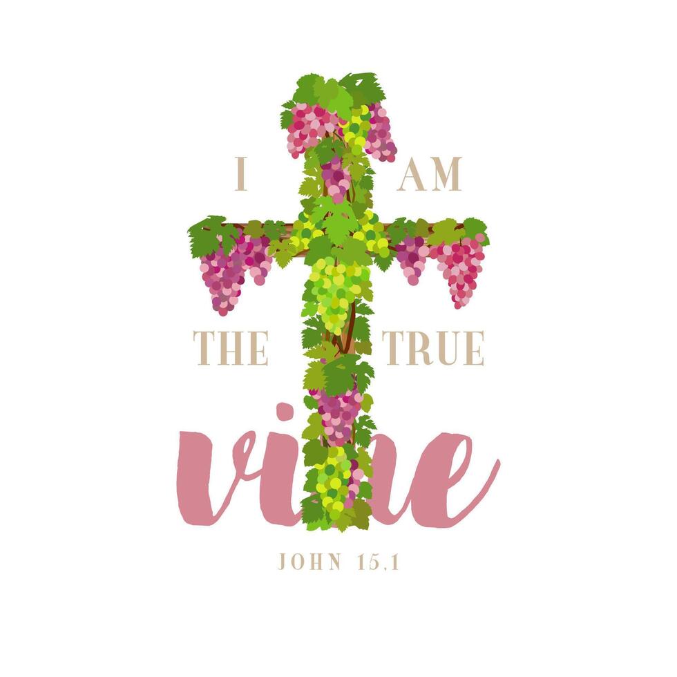 Jesus is the true vine creative Christian symbol. Greeting card design. Religious cross with green and purple bunches of grapes and grape leaves vector