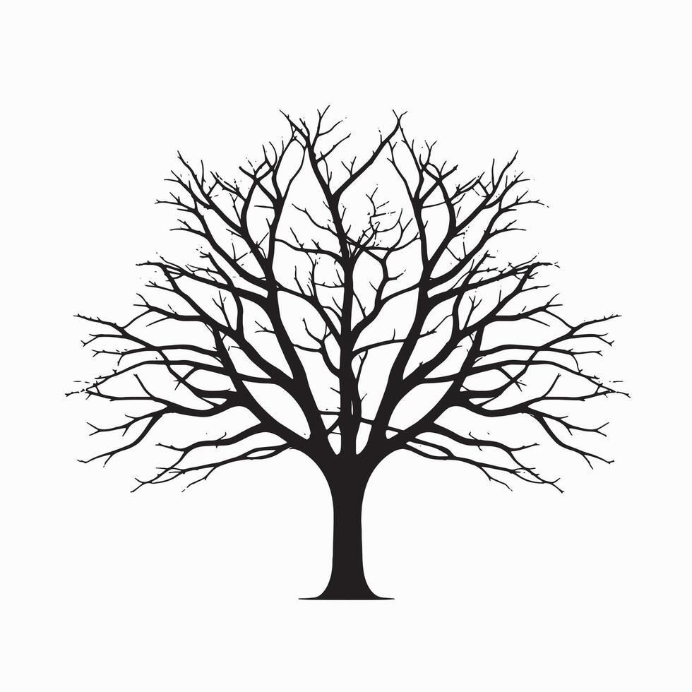 Classic Beech Tree Silhouette Isolated for Art and Design vector