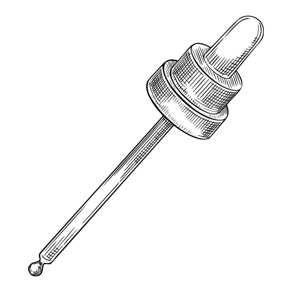 illustration of vintage Dropper in linear style. Outline hand painted drawing of pipette for herbal medicine or essential oil design. Black etching of pipet for essence or aromatherapy. vector