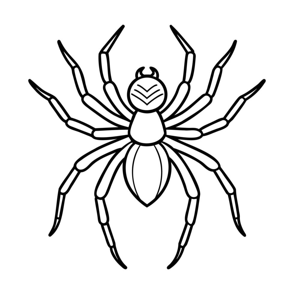 Black and white outline of a spider with detailed legs and body, drawn in a minimalist style vector