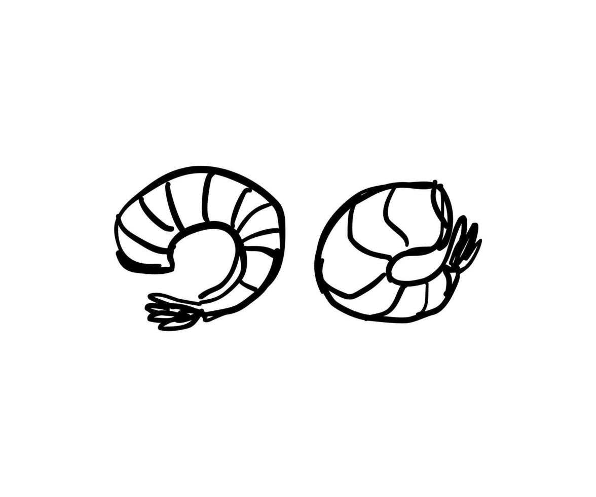 Shrimp drawn in doodle style. Cuisine, menu, seafood. illustration for design. vector