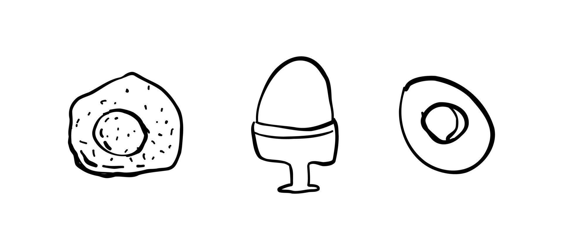 A set with eggs of different cooking methods. illustration for design. vector