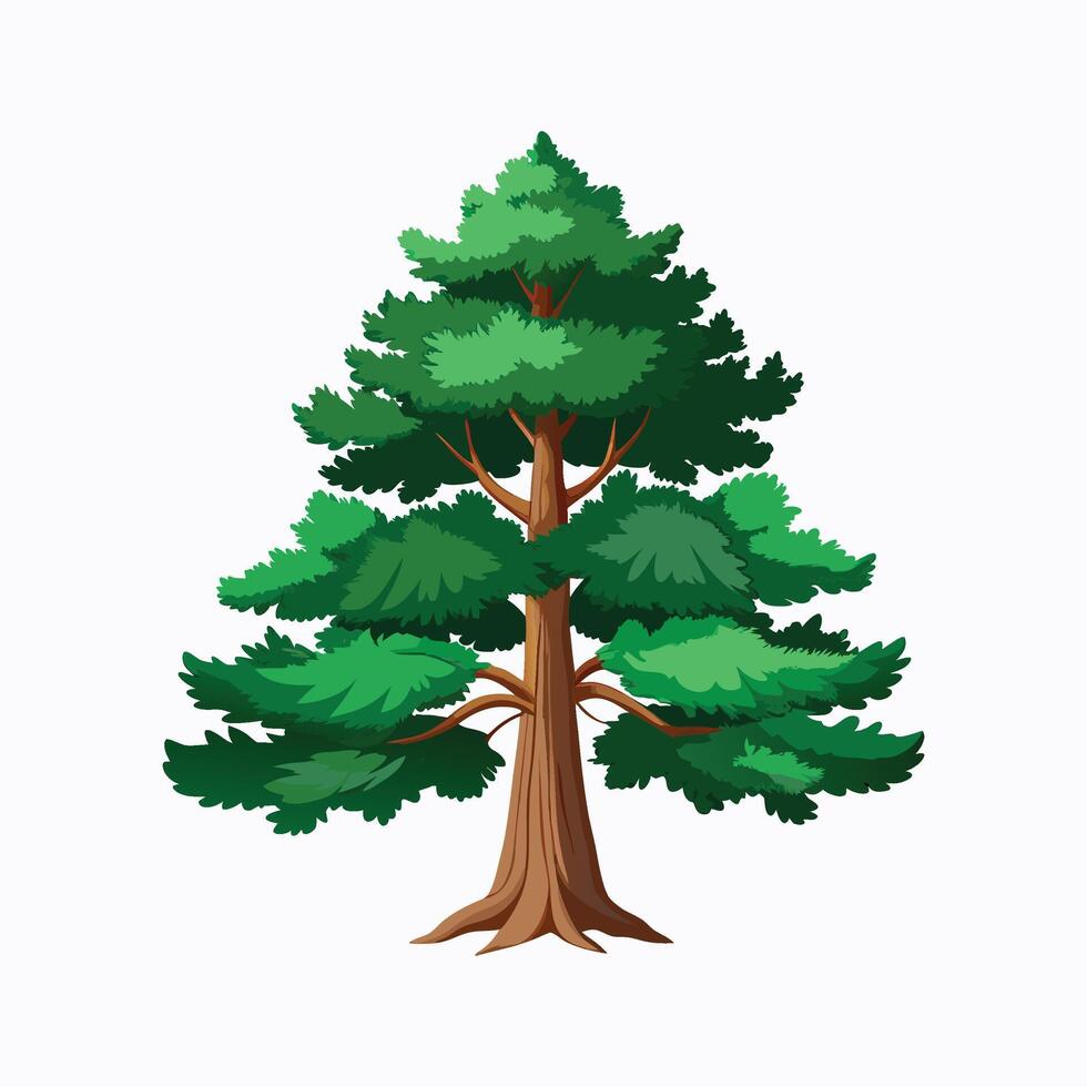 a big pine tree with spread branch full green leaves illustration for design vector
