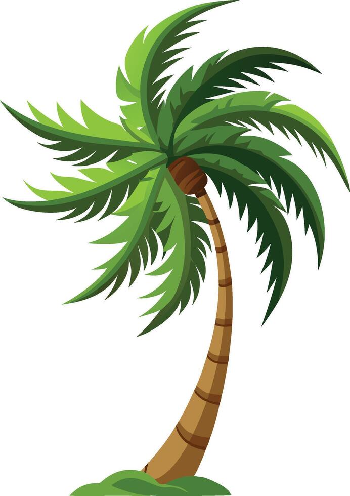 curve size palm trees with leaves illustration for tropical coconut tree design vector