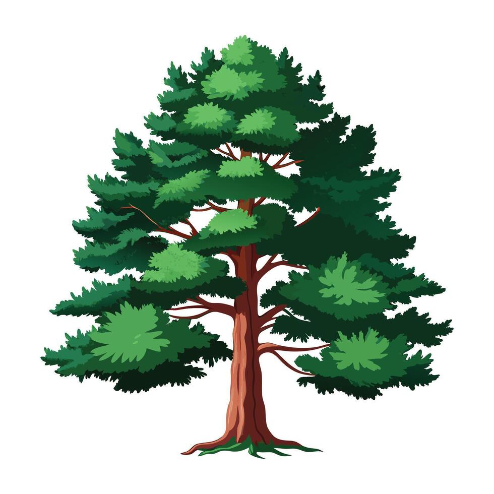 a spread pine tree with big branch full green leaves illustration for design vector