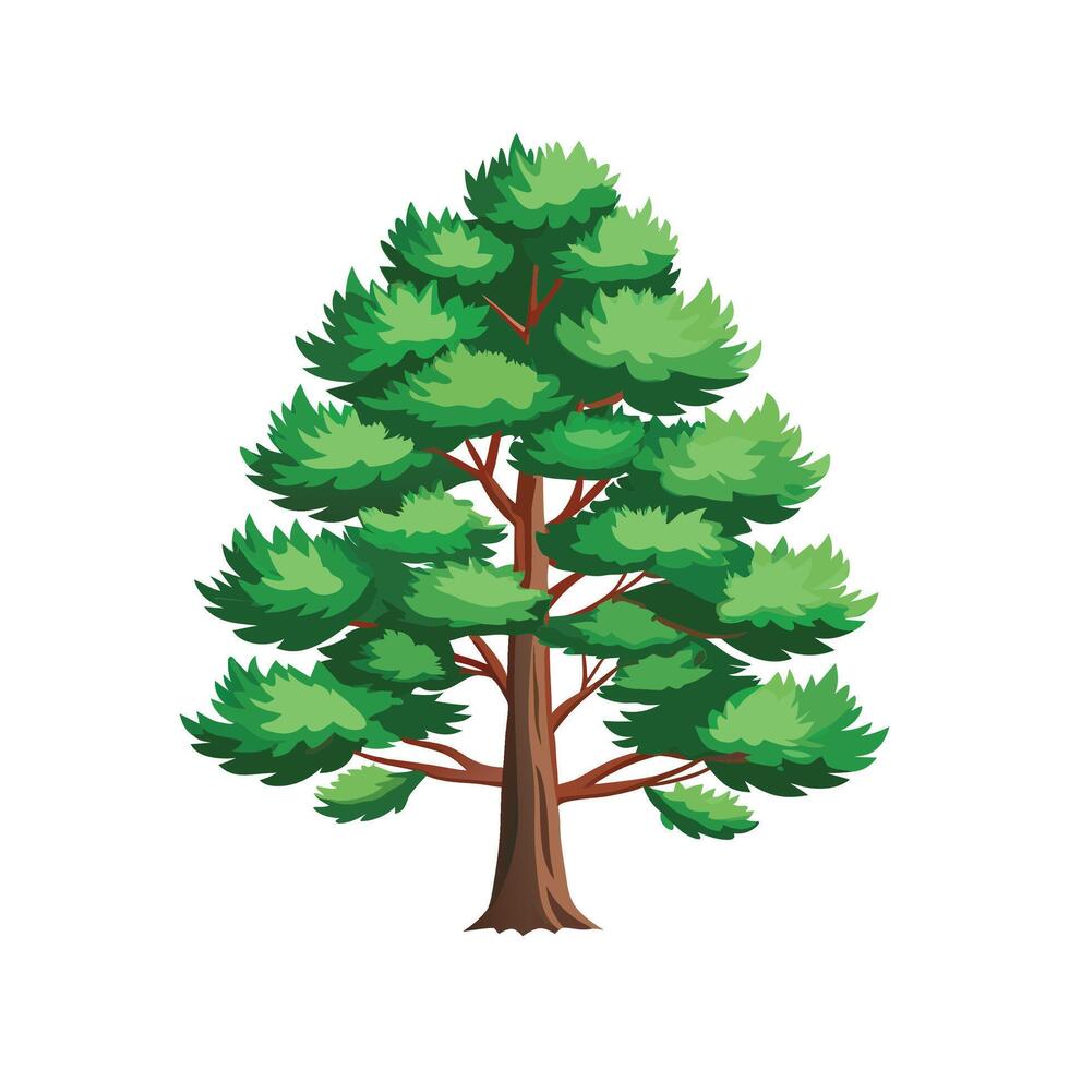tall pine tree with root illustration for design with branch vector