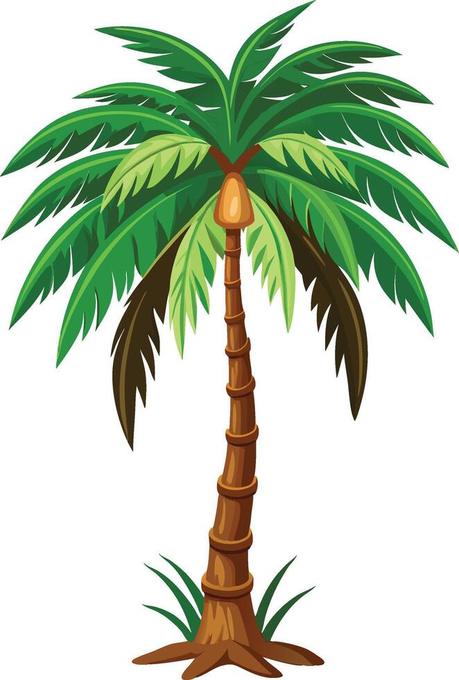 palm tree illustration with leaves for tropical coconut tree design vector