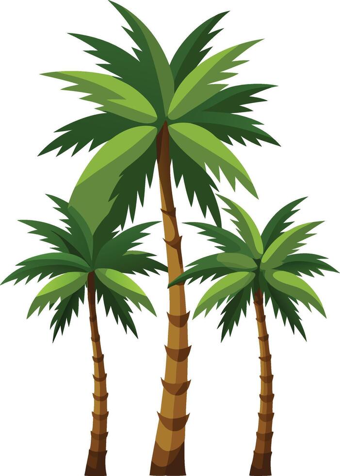 three palm trees with leaves illustration for tropical coconut tree design vector