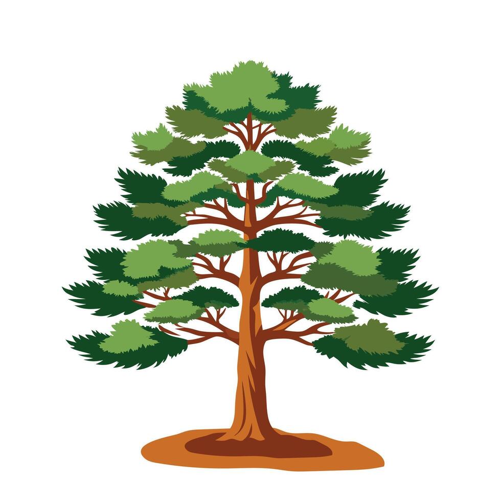 pine tree with branch illustration for flat design vector