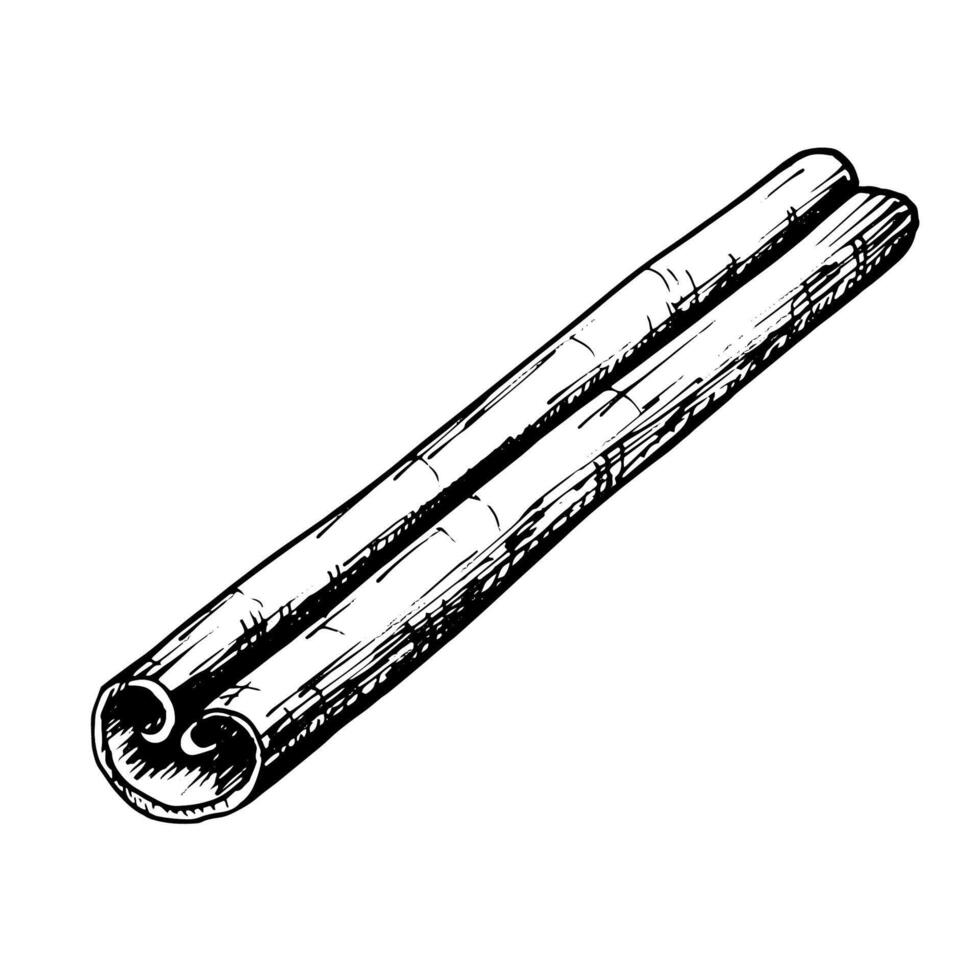 Hand drawn illustration of a cinnamon stick in detailed black and white line art. Perfect for use in culinary, holiday, and aromatic-themed designs, packaging, and creative projects. vector