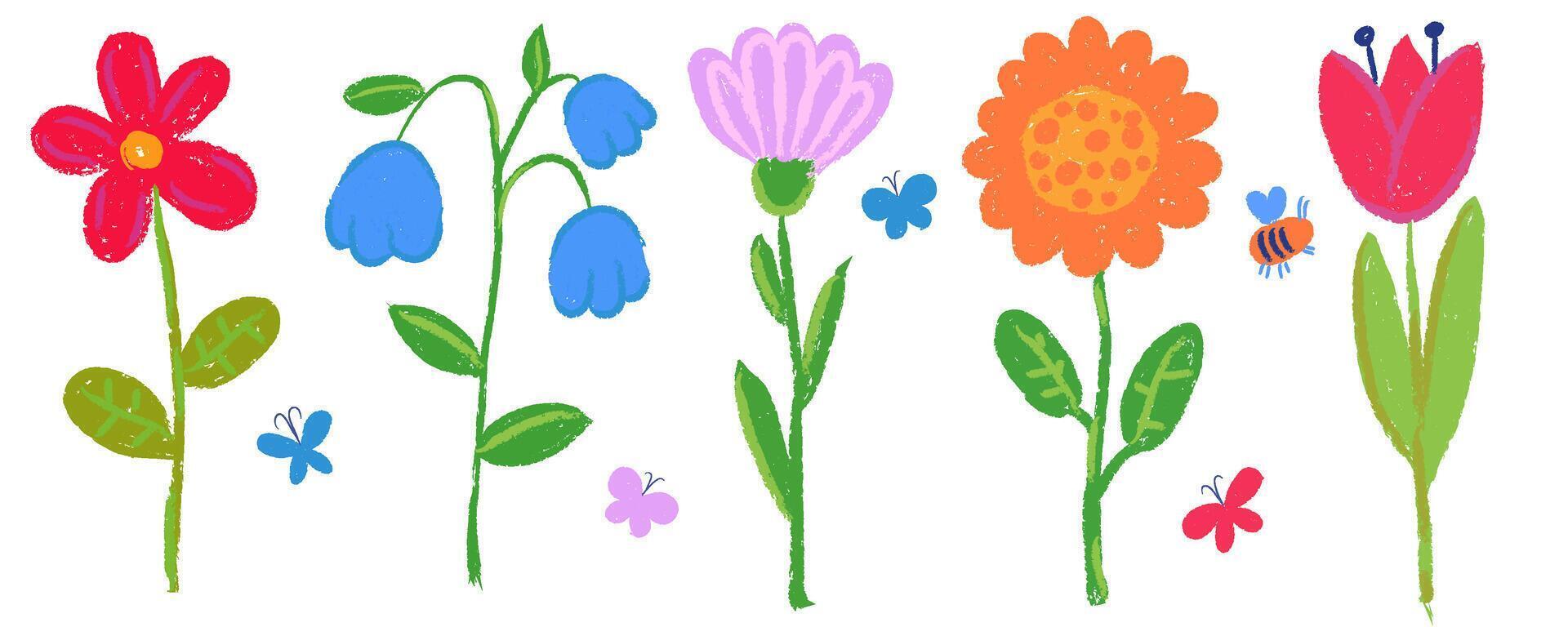 Crayon flowers. Colored pencil and pastel chalk spring floral illustration with butterfly. Hand drawn kids cute painting. plants with sketch texture. vector