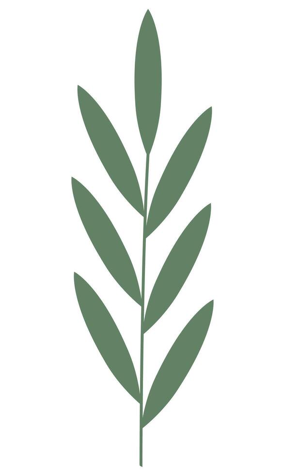 Green leaf flat icon isolated on white background. vector