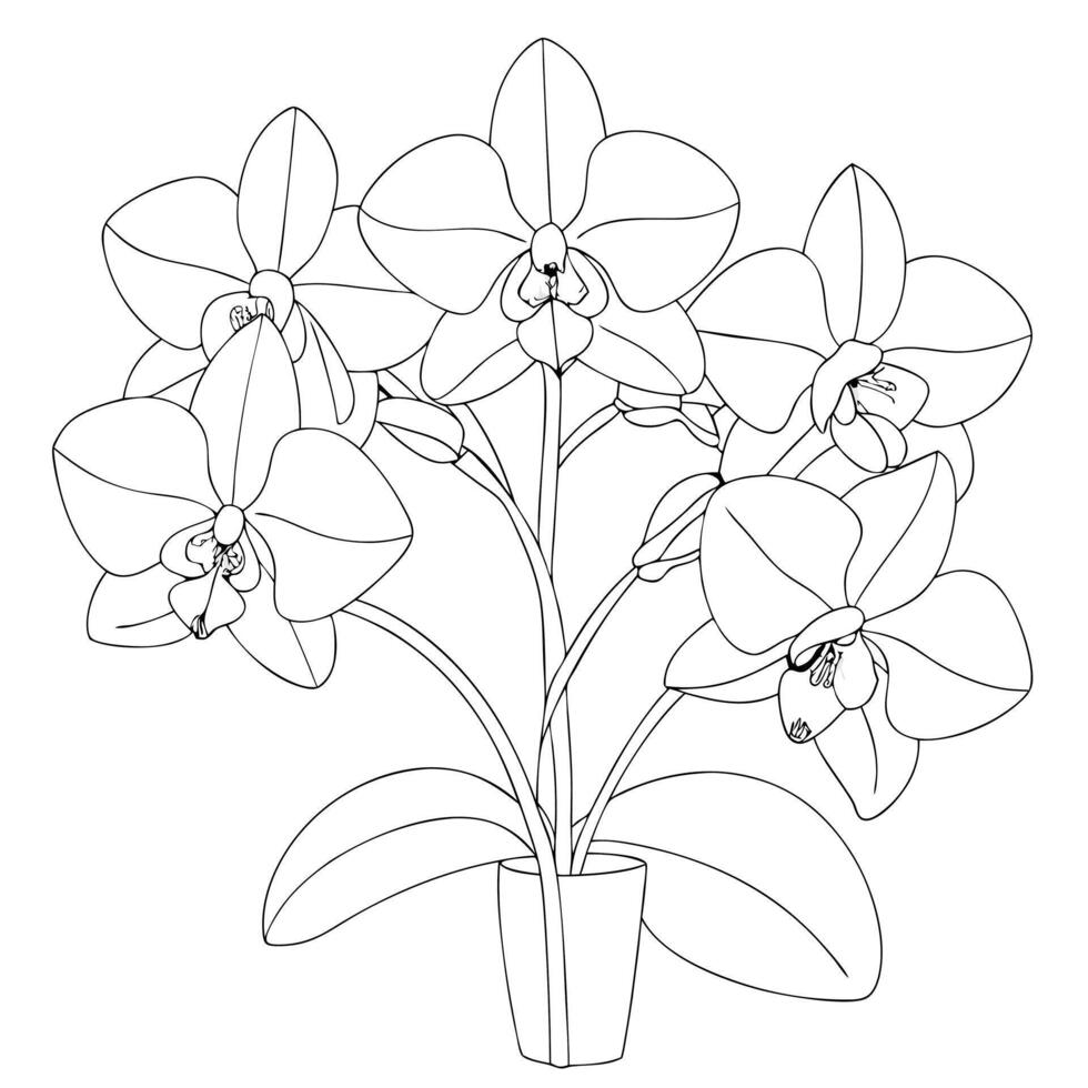 Orchid flower outline coloring book page vector