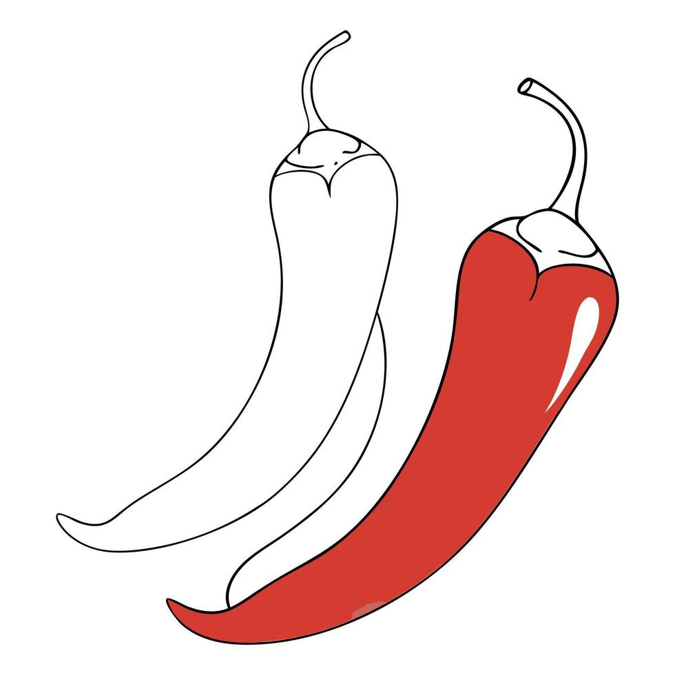 Red chili pepper illustration vector