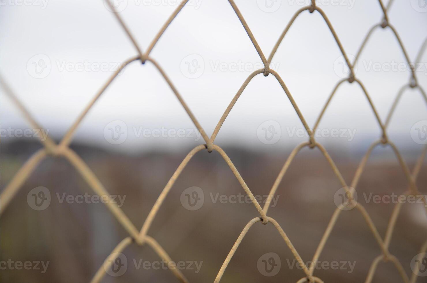 Chain link grid fence photo