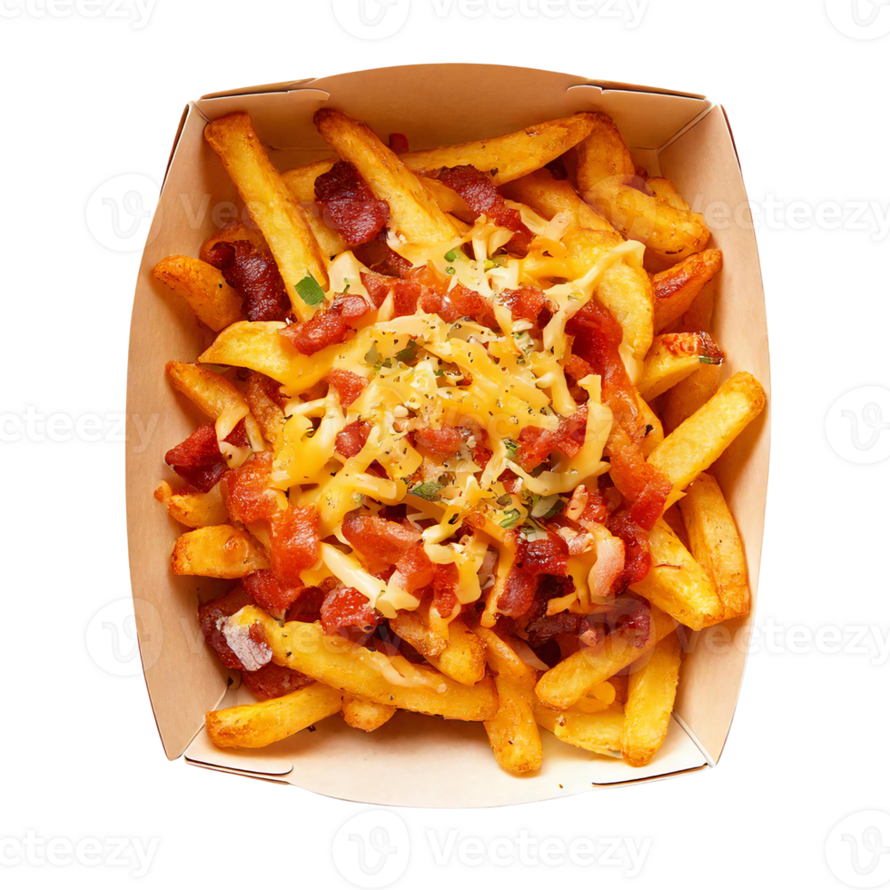 Delicious loaded fries topped with cheese, bacon, and green onions in a takeout container. png
